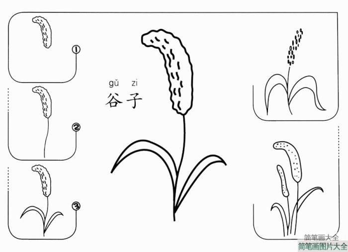 谷子怎么画  第1张