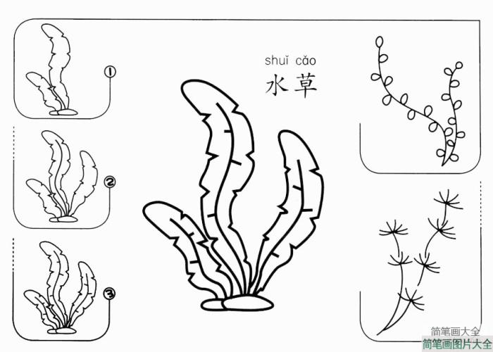 水草怎么画  第1张