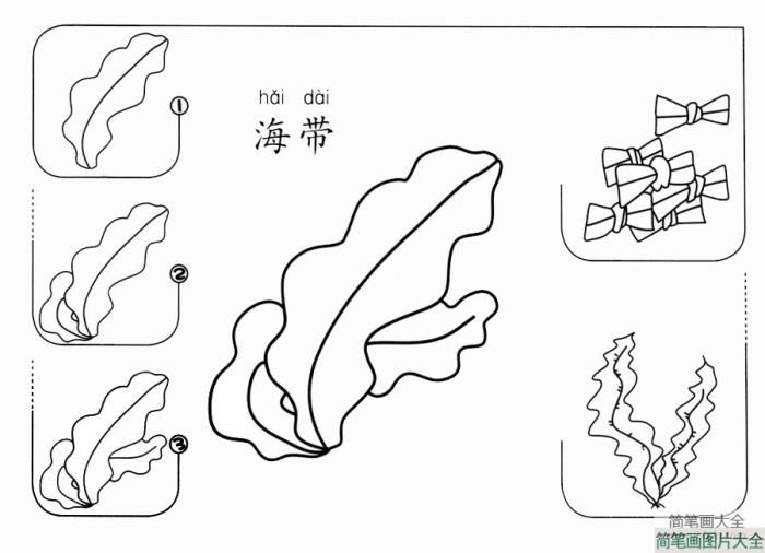 海带怎么画  第1张