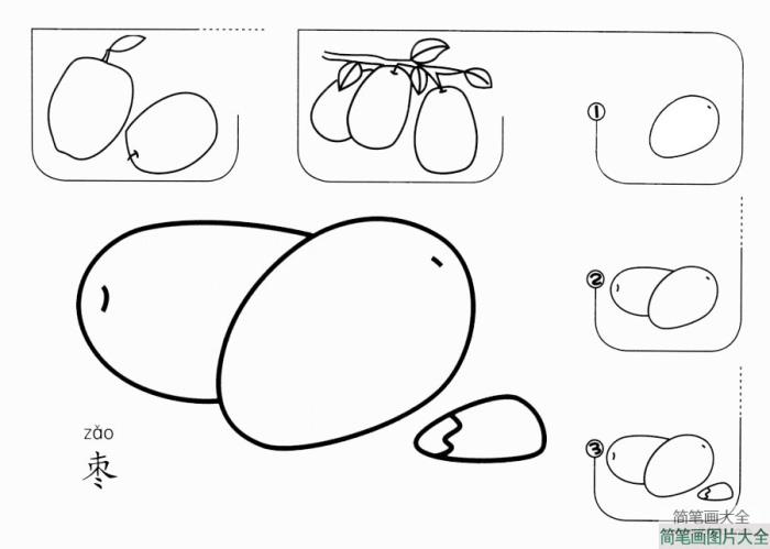 枣怎么画  第1张