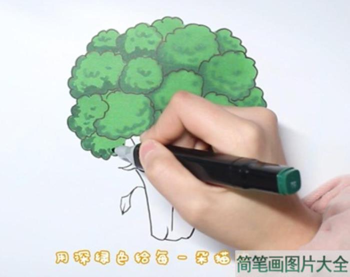 西蓝花简笔画  第3张