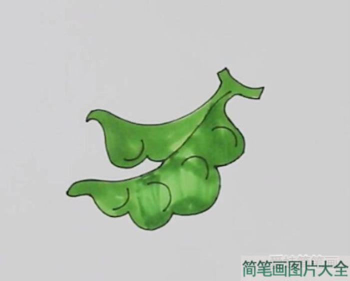 豆角简笔画  第4张