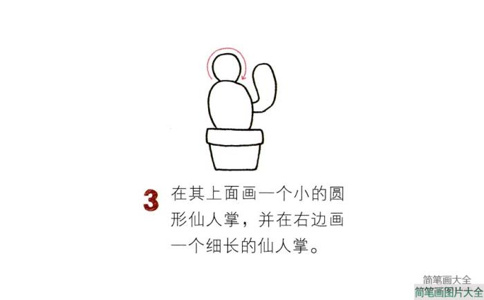 学画漂亮的仙人掌  第3张