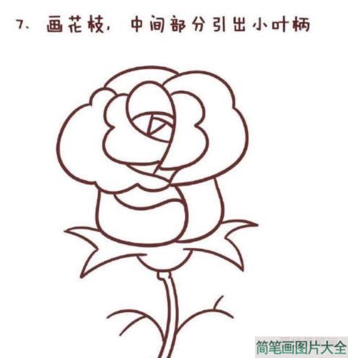 情人节玫瑰花简笔画  第7张