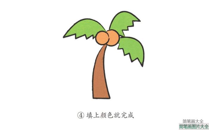 学画椰子树  第4张