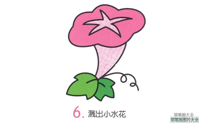 一步一步学画牵牛花  第6张