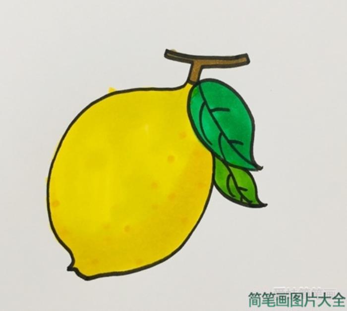 柠檬简笔画  第5张