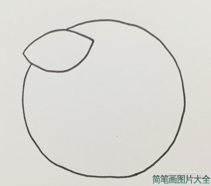 橘子简笔画  第2张