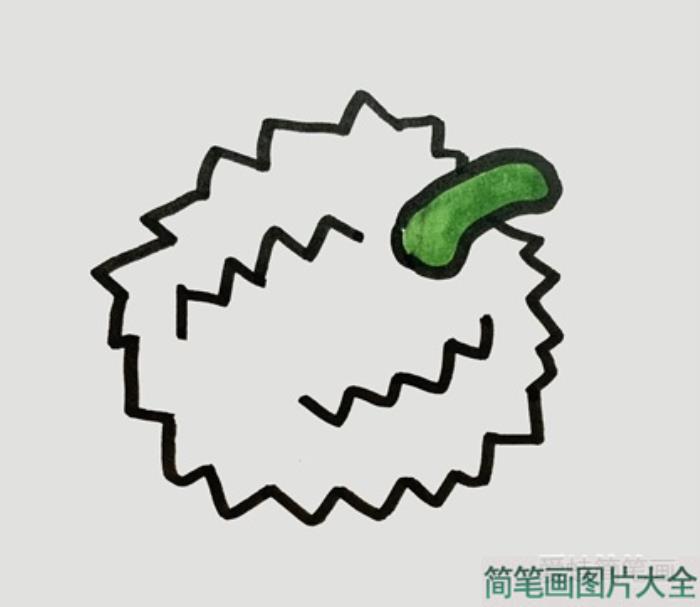 榴莲简笔画  第3张