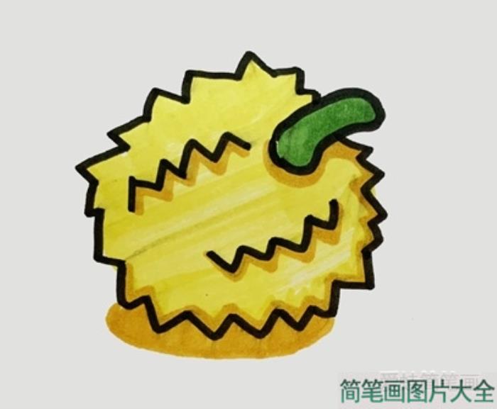 榴莲简笔画  第4张