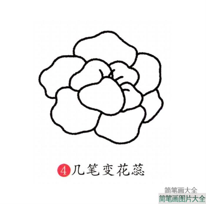 幼儿简笔画_牡丹花的画法  第4张