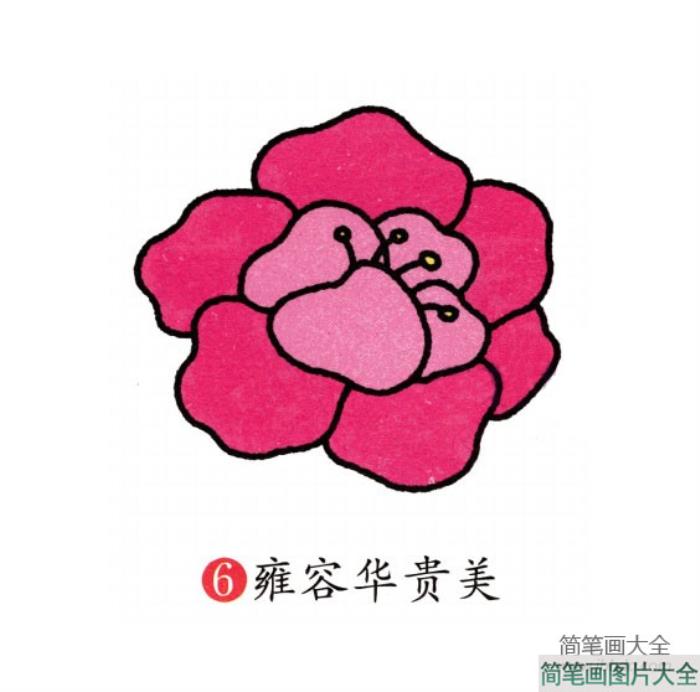 幼儿简笔画_牡丹花的画法  第6张