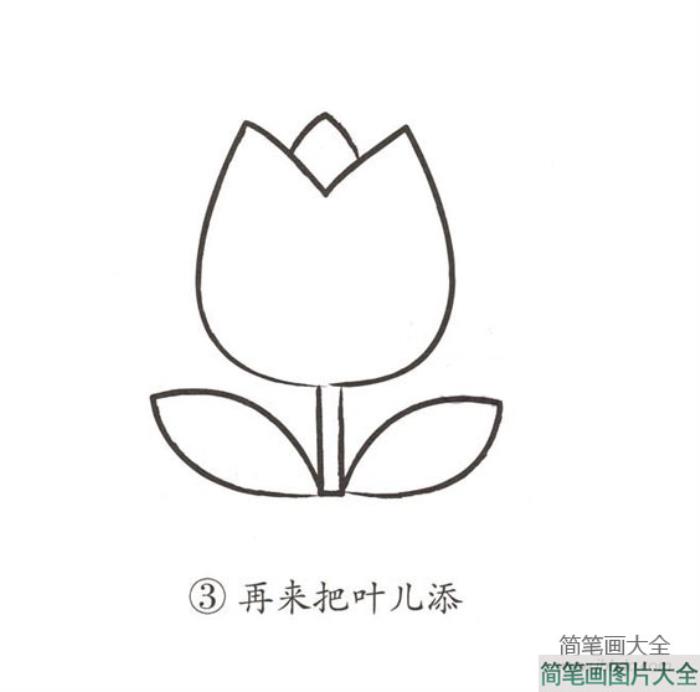 幼儿简笔画_鲜花的画法  第3张