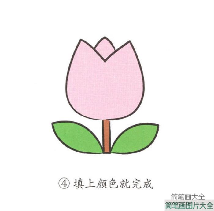 幼儿简笔画_鲜花的画法  第4张