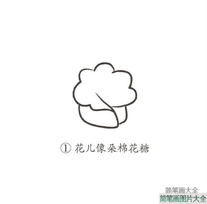 幼儿简笔画_玫瑰花