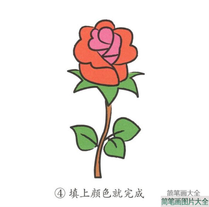 幼儿简笔画_玫瑰花  第4张