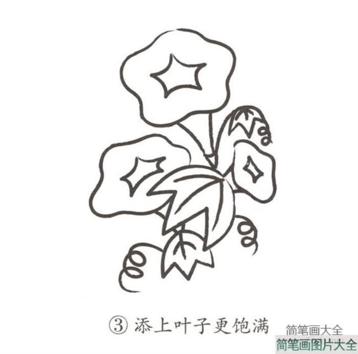 幼儿简笔画_牵牛花  第3张