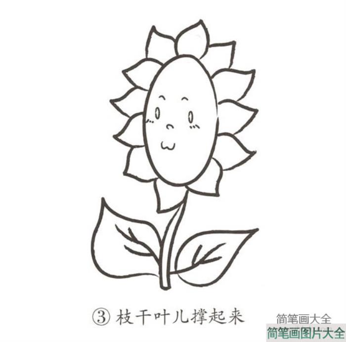 幼儿简笔画_向日葵  第3张