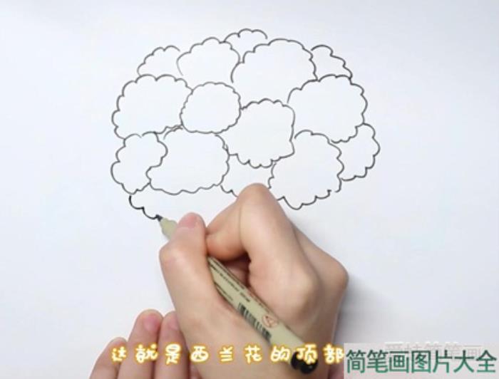 西蓝花简笔画  第1张