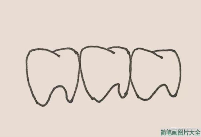 简笔画之牙齿  第4张