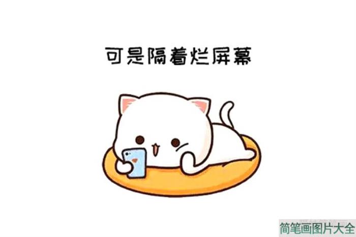 可爱小猫表情包  第7张