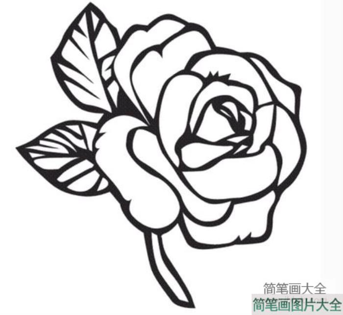 简笔画画玫瑰花_玫瑰花简笔画图片  第5张