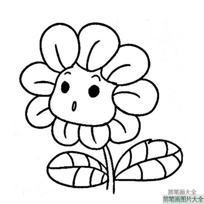 各种花朵简笔画大全_各种花的简笔画图片  第2张