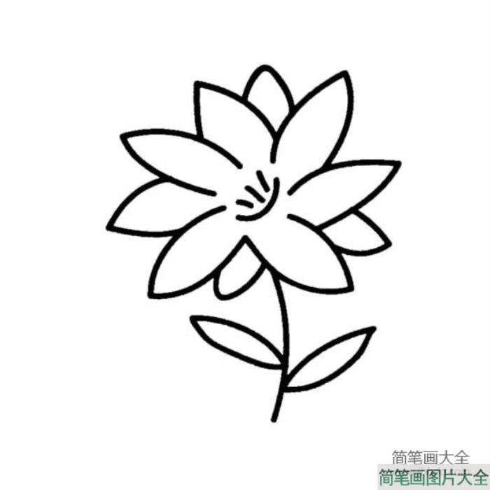 幼儿花朵简笔画图片_幼儿黑白简笔画花朵  第3张