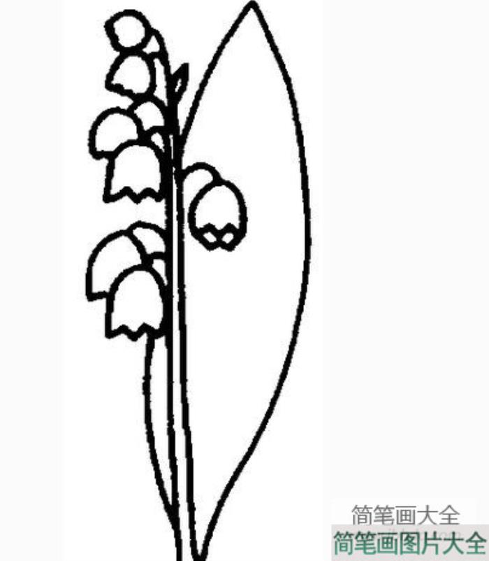 小花简笔画图片_小花简笔画简单