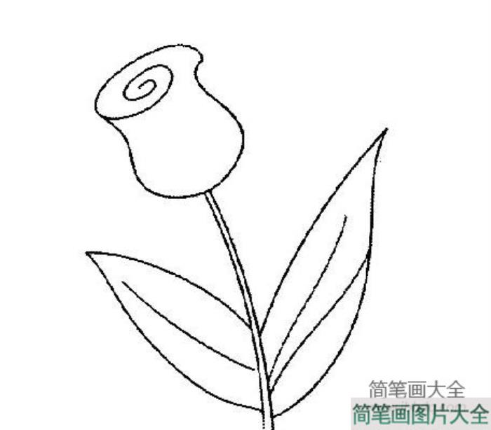 小花简笔画图片_小花简笔画简单  第3张