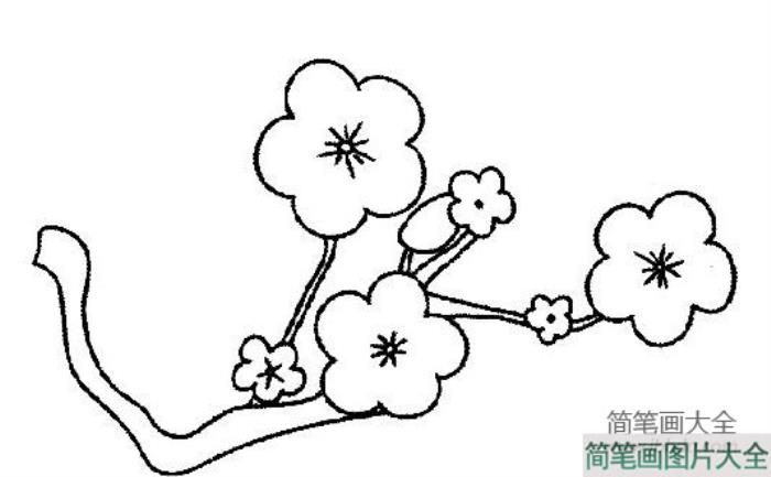 小花简笔画图片_小花简笔画简单  第4张