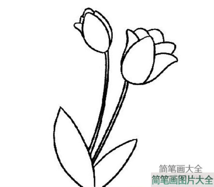 小花简笔画图片_小花简笔画简单  第5张