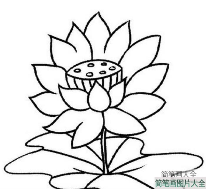 儿童简笔画花的图片_画花的简笔画大全  第3张