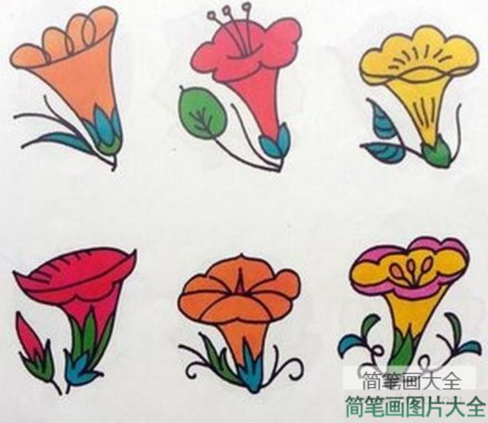 牵牛花简笔画上色_荷花简笔画上色  第3张