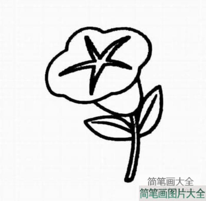 牵牛花简笔画素描_牵牛花简笔画图片