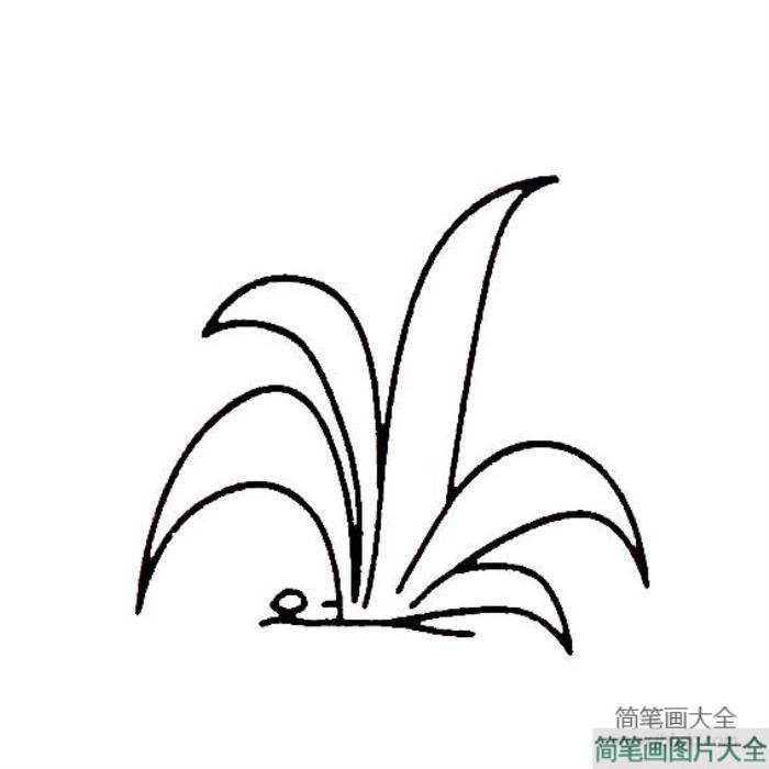 花草简笔画大全_简笔画大全花草类  第1张