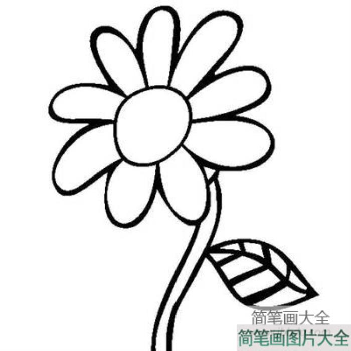 儿童简笔画画花_花怎么画简笔画  第2张