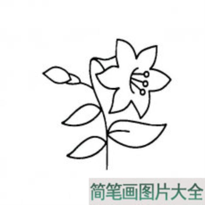 儿童简笔画画花_花怎么画简笔画  第4张