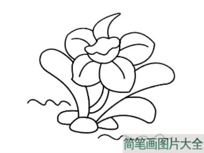 儿童简笔画花草_花草简笔画大全  第5张