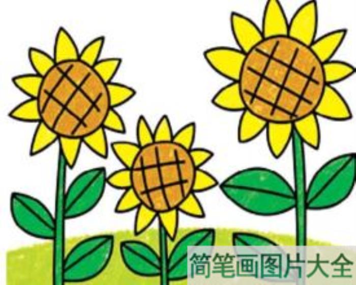 儿童简笔画花大全_儿童简笔画植物大全  第2张