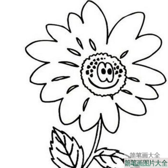 花朵简笔画素材_卡通花朵简笔画  第5张