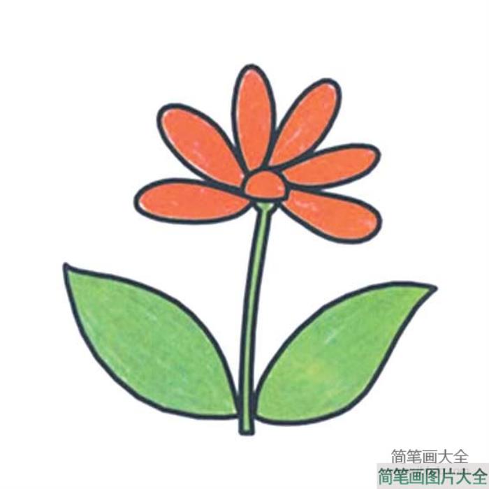 可爱卡通花朵简笔画_卡通花朵简笔画大全  第1张