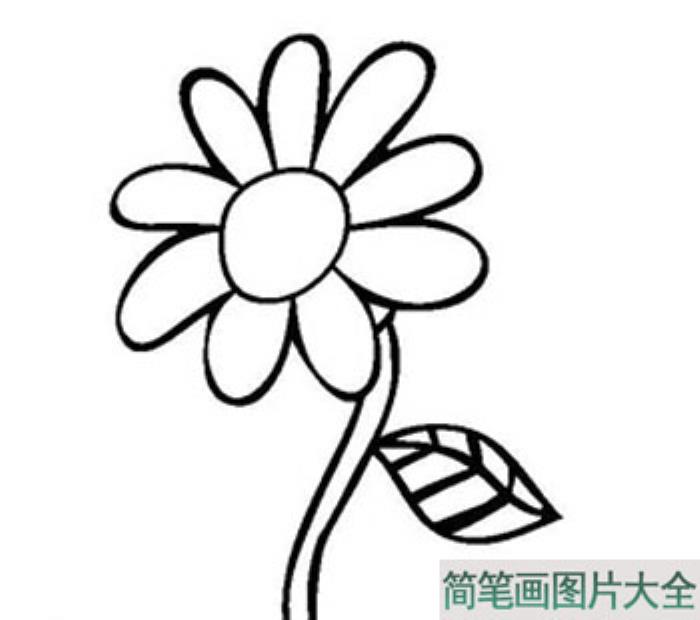 各种花的画法简笔画_花的简笔画图片  第3张