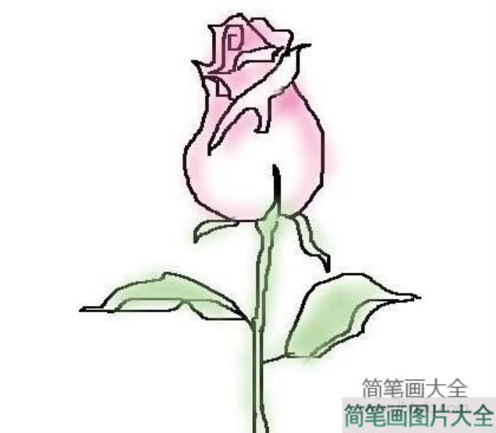 儿童简笔画玫瑰花的画法  第2张