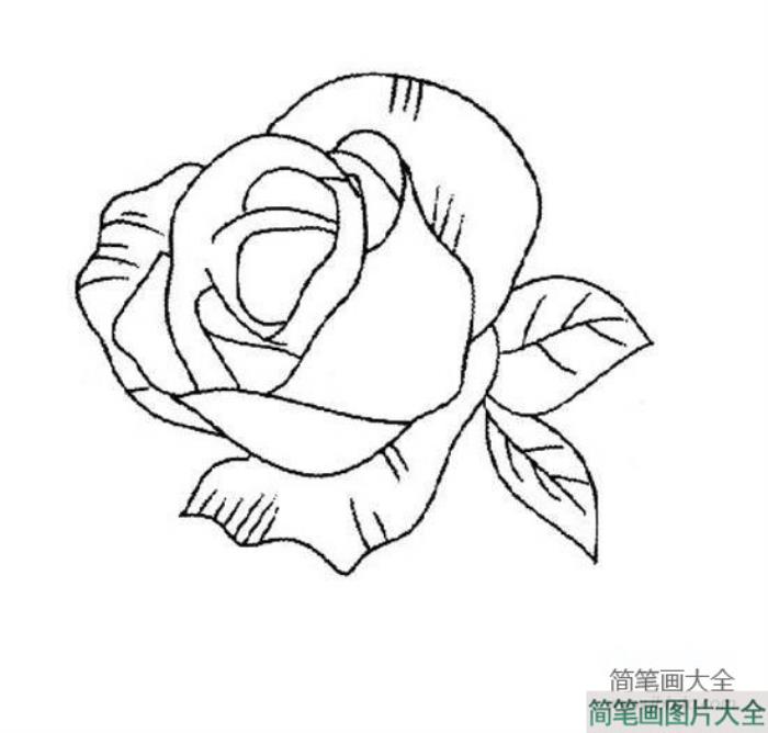 美丽的玫瑰花简笔画  第2张