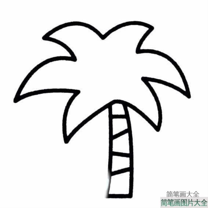 盛夏的椰子树简笔画  第3张