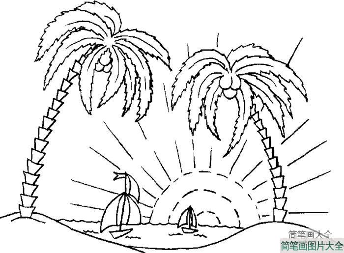 小学生椰子树简笔画设计素材  第2张