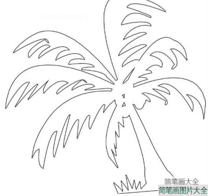 沙滩椰子树简笔画  第3张