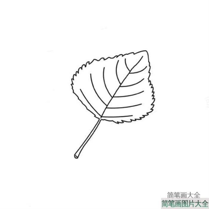 植物简笔画_关于树叶简笔画图片