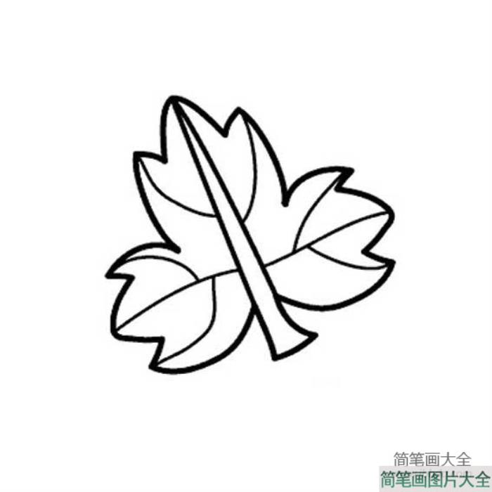 植物简笔画_关于树叶简笔画图片  第3张